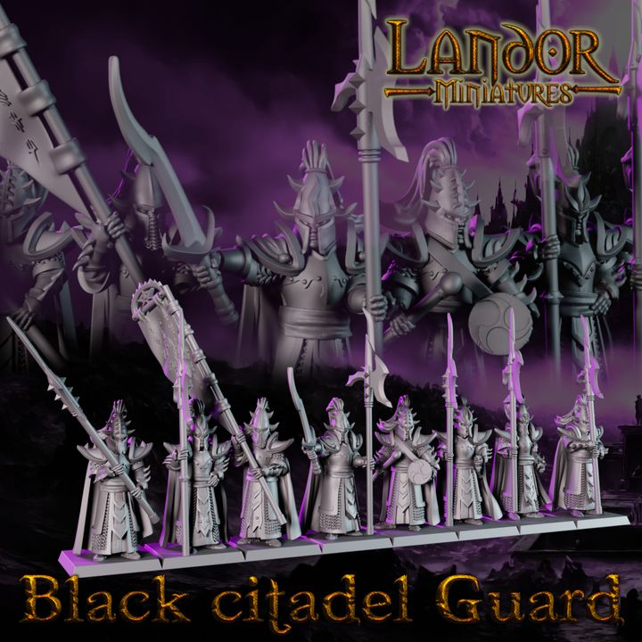 Black Citadel Guards