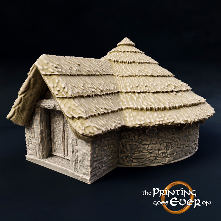 Iron Age Hut - Version D