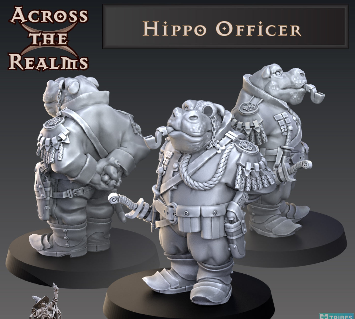 Hippo Officer
