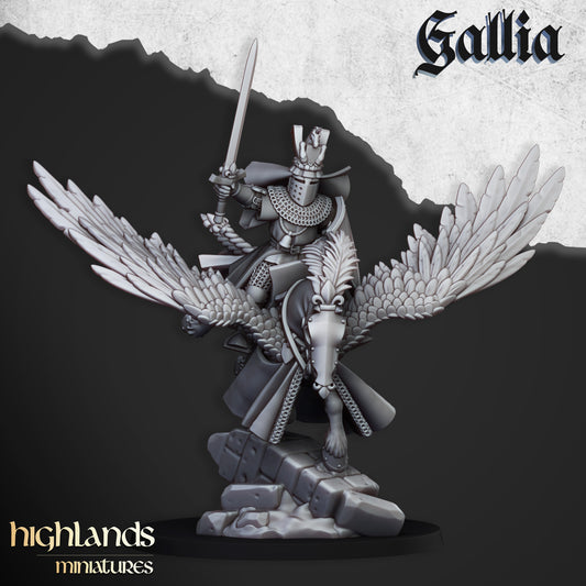 Gallia - Royal Knights on Pegasus (commands)