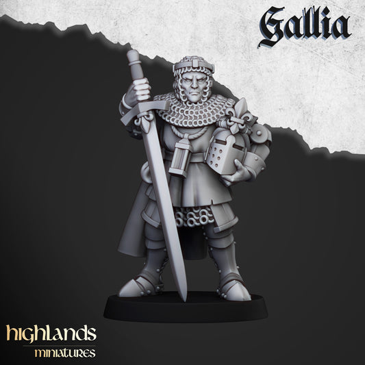 Gallia - Royal Foot Knight Commanders