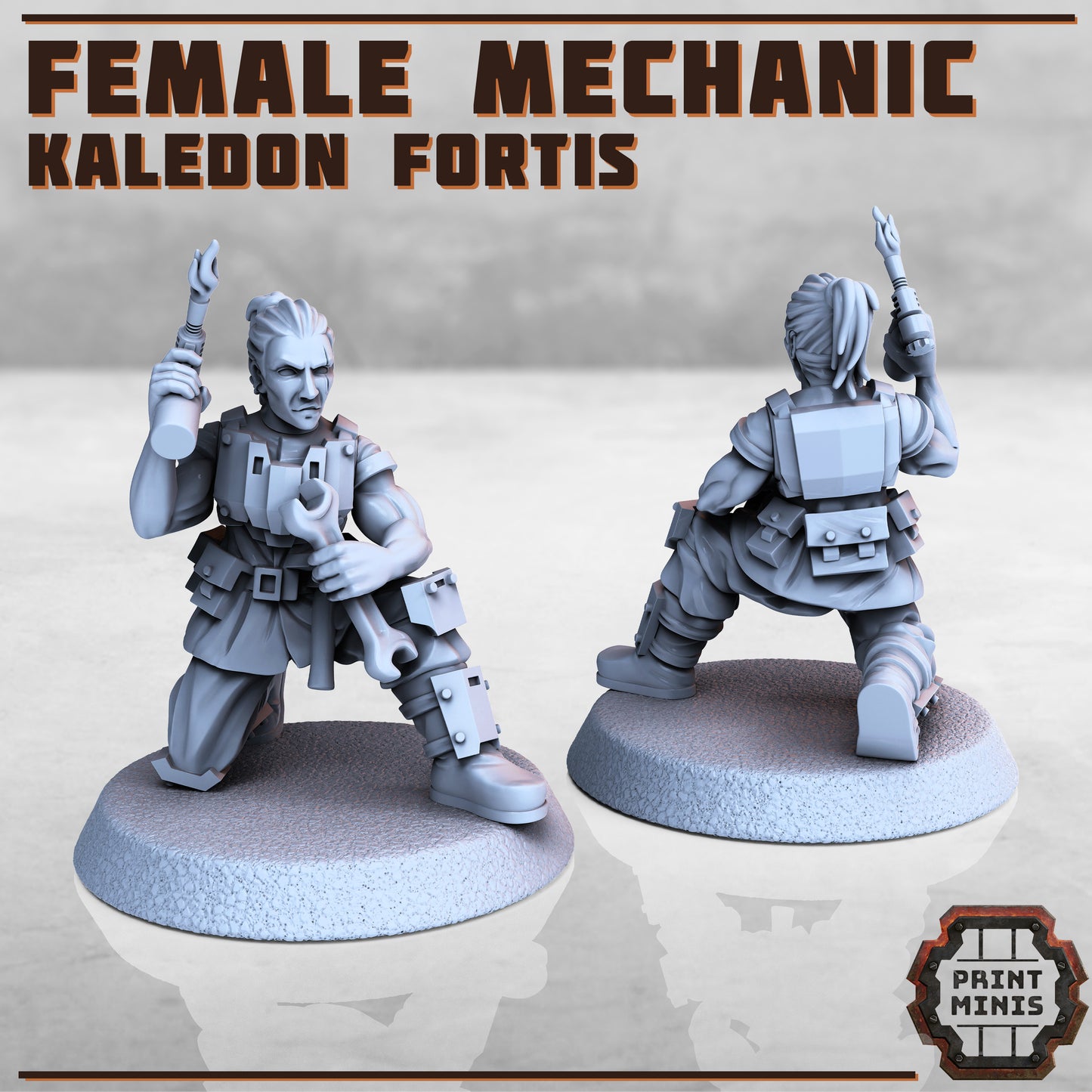Kaledon Fortis - Mechanic