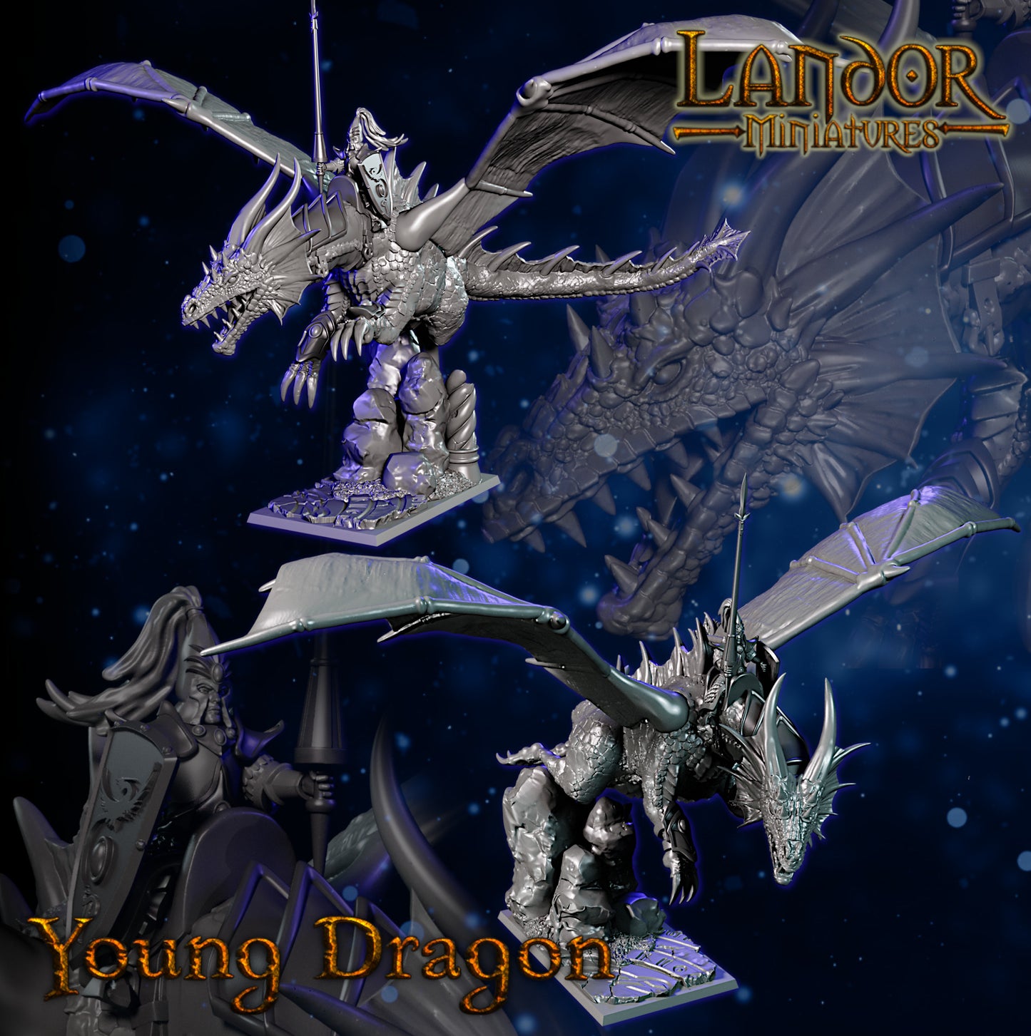 Young Dragon