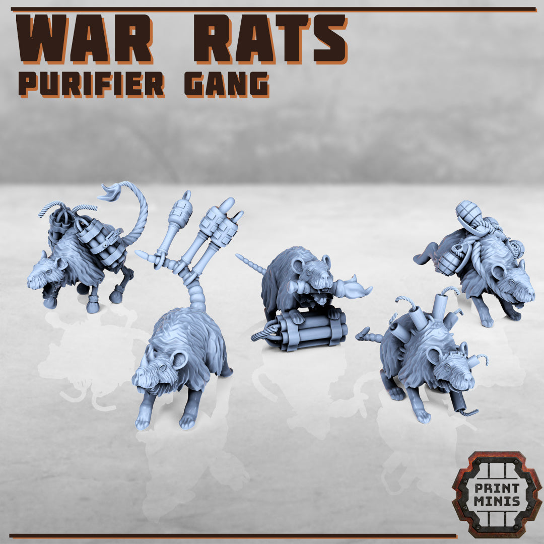 War Rats