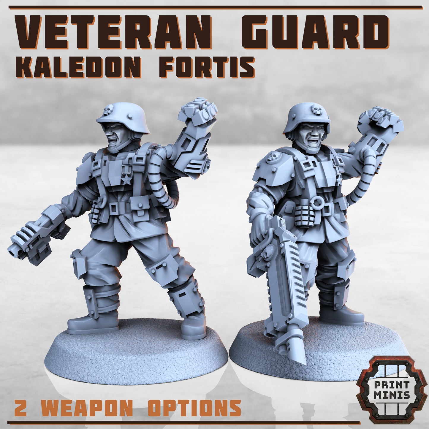 Kaledon Fortis - Veteran Bodyguards