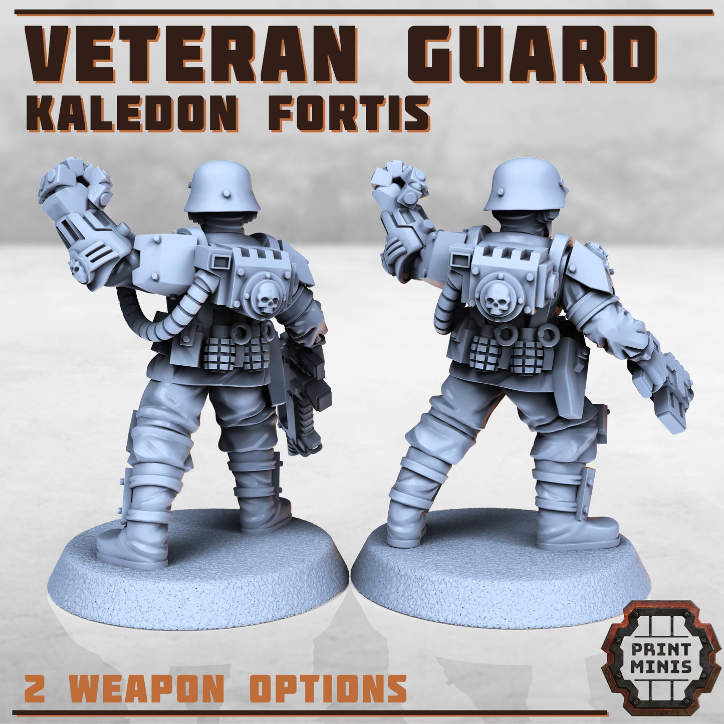 Kaledon Fortis - Veteran Bodyguards