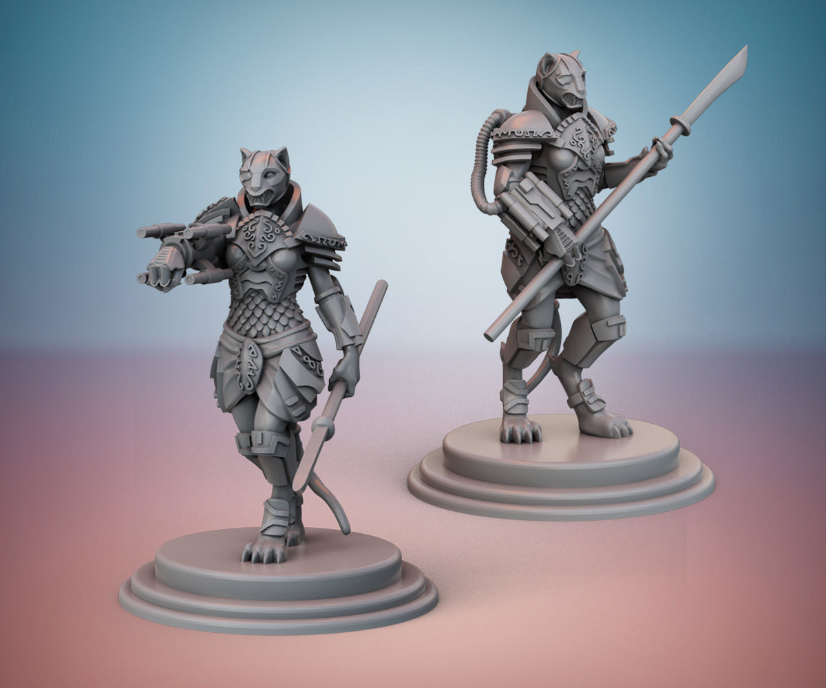 Brakkan Empire - War Maidens