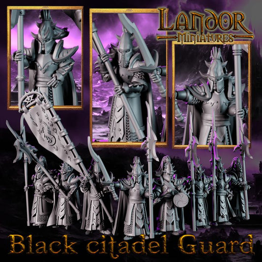 Black Citadel Guards