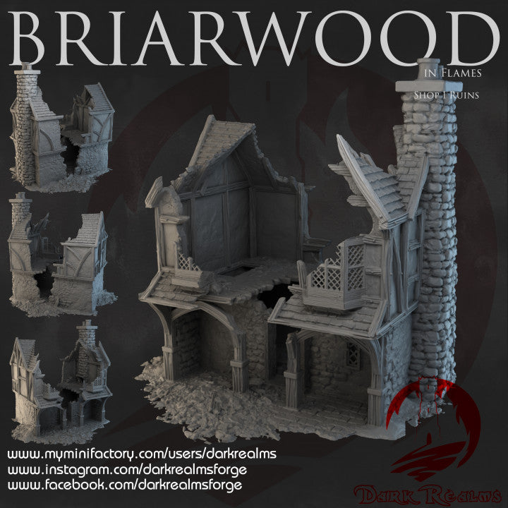 Briarwood Shop Ruins 1