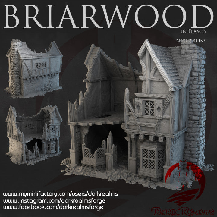 Briarwood Shop Ruins 2