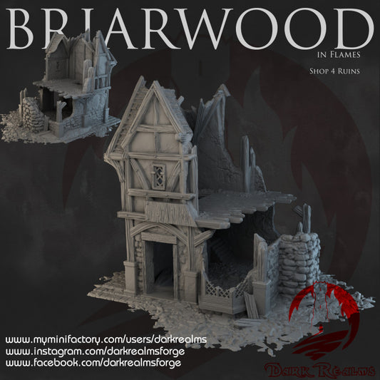 Briarwood Shop Ruins 4