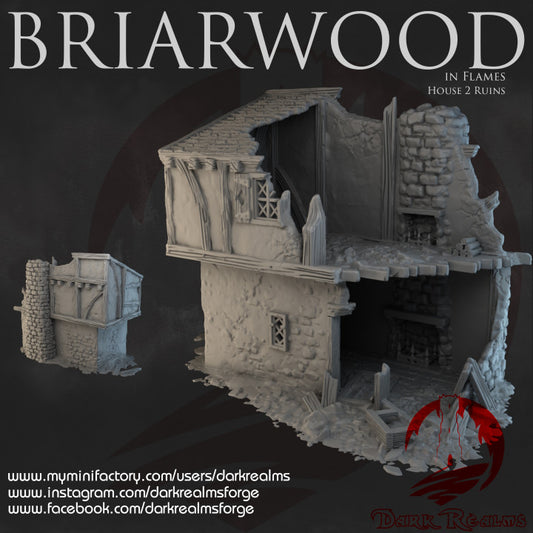 Briarwood House Ruins 2