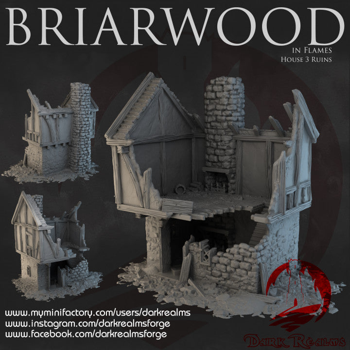 Briarwood House Ruins 3