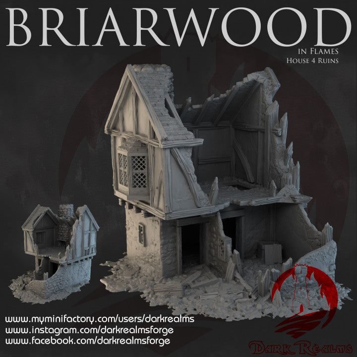 Briarwood House Ruins 4