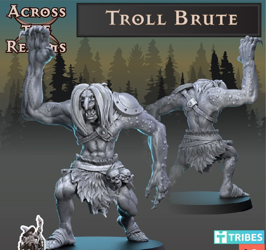 Troll Brute & Bandit