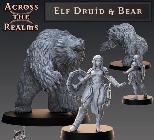 Elven Druid & Bear Form