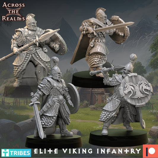 Elite Viking Infantry