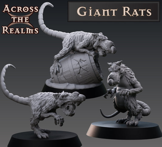 Giant Rats