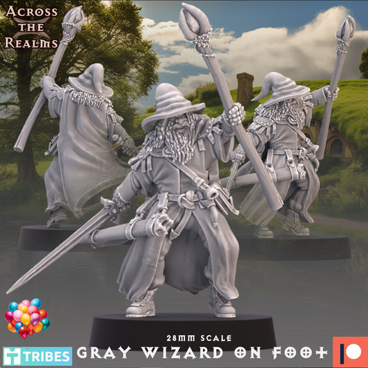 Grey Wizard