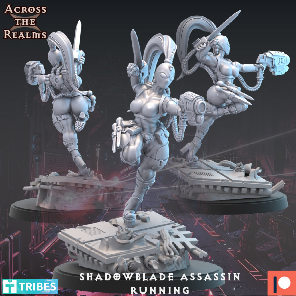 Shadowblade Assassin (V2)