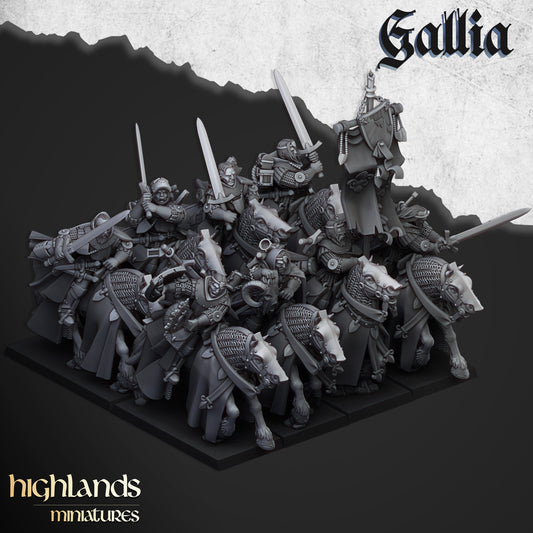 Gallian - Questing Knights