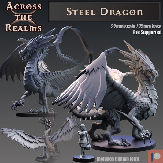 Steel Dragon