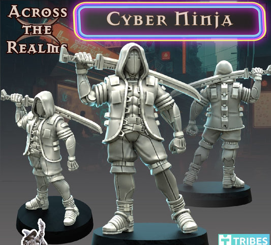 Cyber Ninja