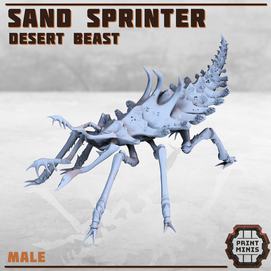 Desert Beasts - Sand Sprinters